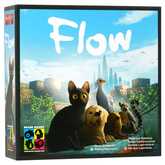 Flow board game