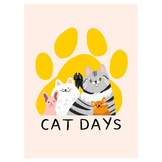 Cat Days card game