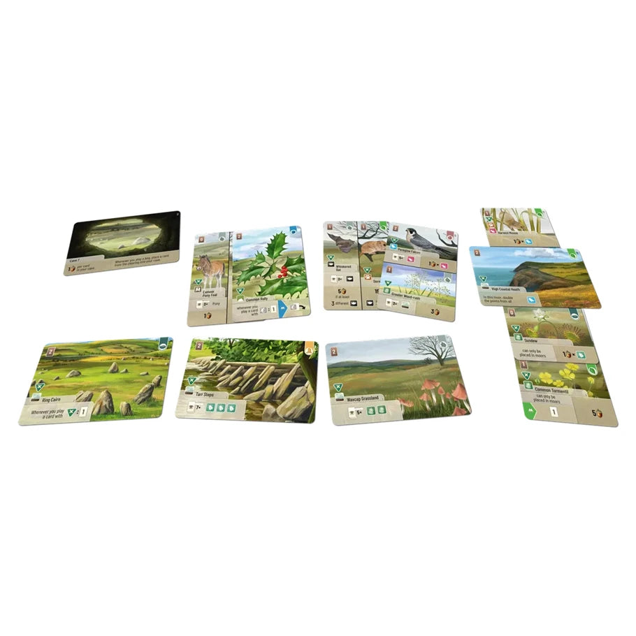 Forest Shuffle: Dartmoor: Exmoor Exp