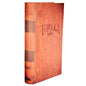 Tortuga 1667 party game