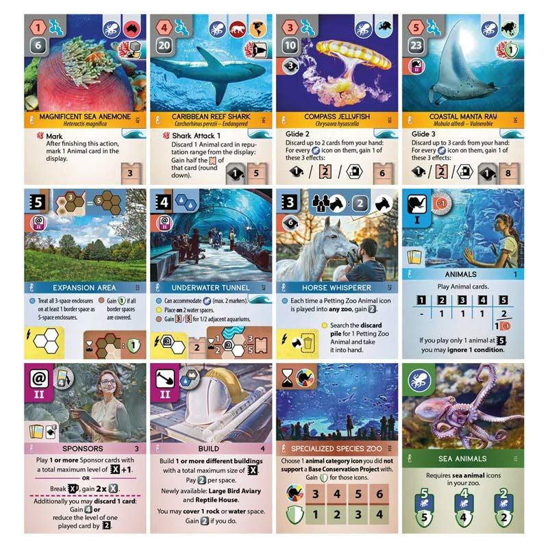 Ark Nova: Marine Worlds cards
