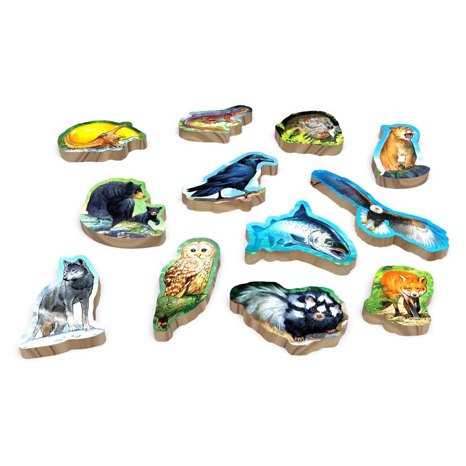 Canopy Evergreen tokens